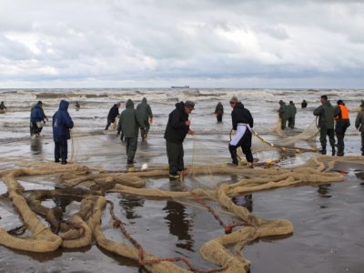 ۷۰۳تن انواع ماهیان استخوانی در گیلان صید شد
