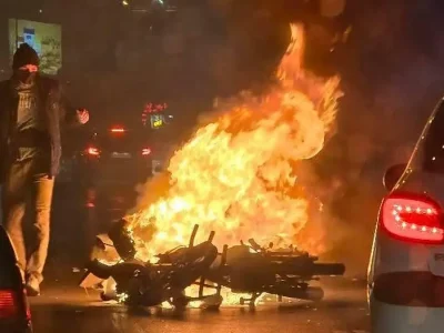 ۷ نکته درباره ماهی که به اندازه یک قرن گذشت