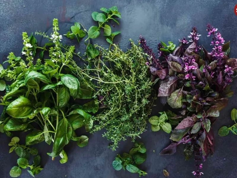 سبزیجاتی که بیشترین خواص را برای سلامتی دارند