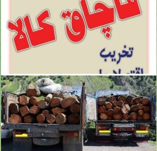 کشف چوب قاچاق و۸۳ دستگاه انواع موتور کشاورزی قاچاق در آستانه اشرفیه