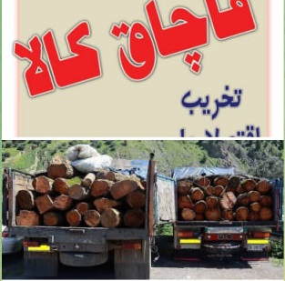 کشف چوب قاچاق و۸۳ دستگاه انواع موتور کشاورزی قاچاق در آستانه اشرفیه
