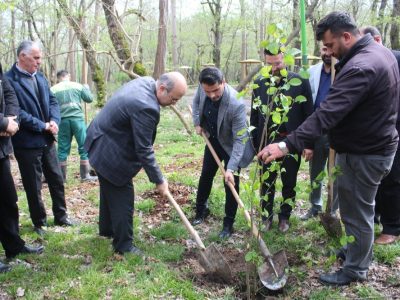 گزارش تصویری از غرس نهال و بیعت با رهبری وشهدای جنگ امریکایی صهیونیستی در مزار شهید گمنام بندر کیاشهر
