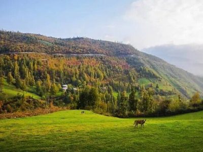 وضعیت جوی گیلان پایدار می‌شود