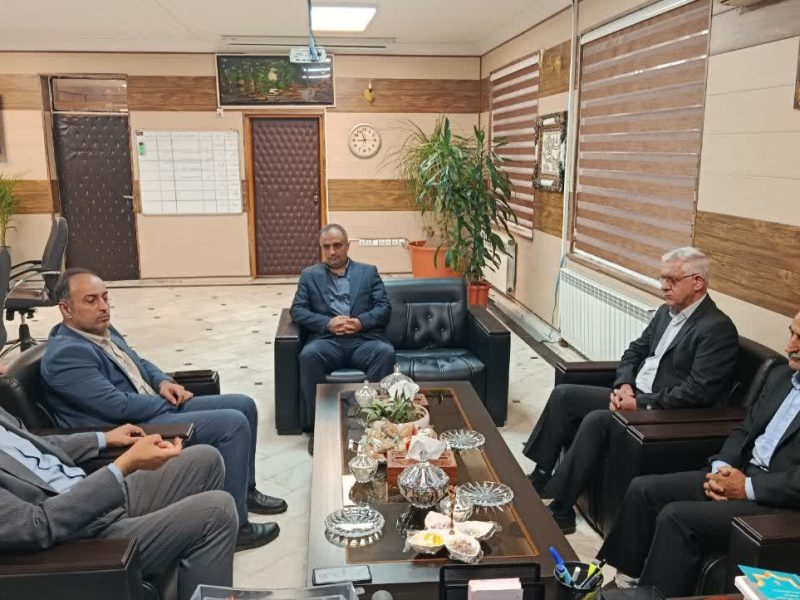فرماندار رودسر بر ضرورت حمایت از صنعت چای و کشاورزان چایکار تأکید کرد