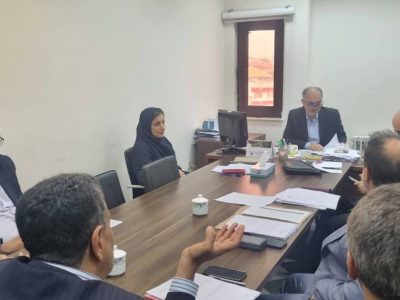مشکلات شش طرح سرمایه گذاری در گیلان بررسی شد