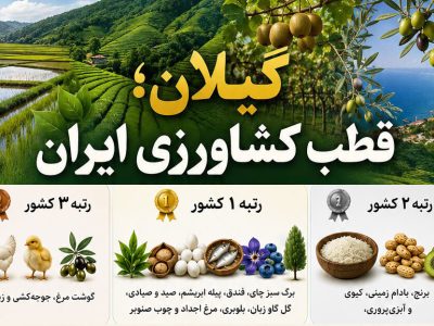 اینفوگرافیک | گیلان در تولید چه محصولاتی در ایران اول است؟
