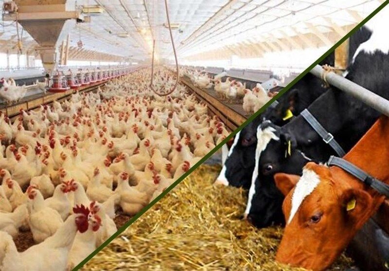 ۲.۲همت برای پروژه‌های کشاورزی گیلان سرمایه‌گذاری شد