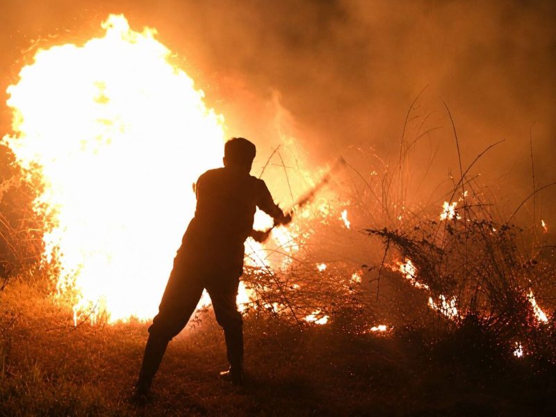 آتش‌سوزی ۲ هکتاری  از پارک ملی بوجاق، مهار شد
