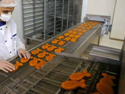 ۱۹ طرح ملی برای توسعه فناوری و کاهش ضایعات آبزیان پیشنهاد شد